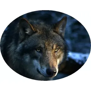 Nášivka Nažehlovačka s vlkem II (digitální nažehlovačka)