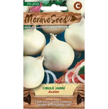 Semeno Cibule jarní AVALON, bílá 60833