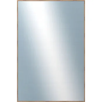 Zrcadlo Zrcadlo DANTIK nástěnné obdélníkové, kovový rám, 400 x 600 mm