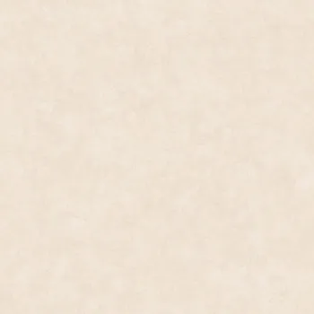 Tapeta Vliesová tapeta na zeď Caselio 101491460 BETON 2, 0,53 x 10,05 m