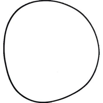 Těsnění torické pod přírubu filtru PTK