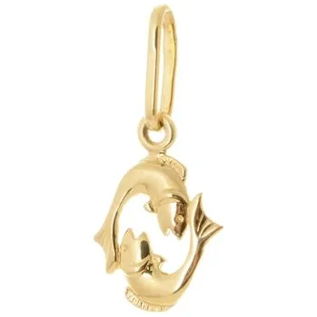 Přívěsek Přívěšek znamení RYBY ze žlutého zlata ZZ1203RYBF + dárek zdarma