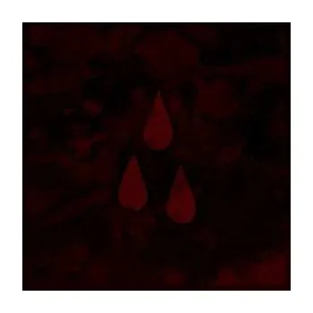 Zahraniční hudba LP AFI: AFI (The Blood Album) CLR 2017 Coloured Red Translucent With Black Marble Vinyl