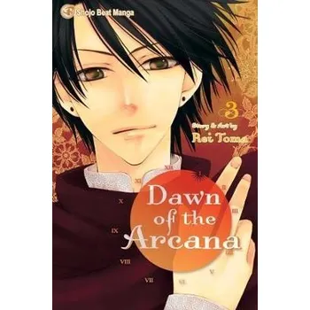 Komiks pro dospělé Dawn of the Arcana 3