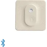 Shelly BLU H&T (Ivory)