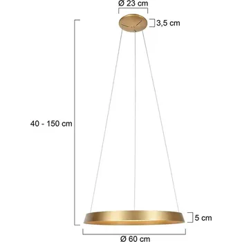 Steinhauer Závěsné svítidlo Ringlux LED, 1 světlo, zlatá barva, kov - Stříška - Ø 23 cm, výška 3,5 cm zlato LED 50 W celkem - Doprava zdarma