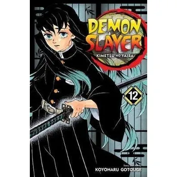 Komiks pro dospělé Demon Slayer: Kimetsu no Yaiba 12