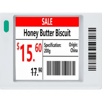 IP kamera ESL-E4015A-N