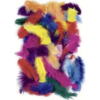 Výtvarná sada Dekorativní peříčka 100 g - mix barev / 4 - 20 cm