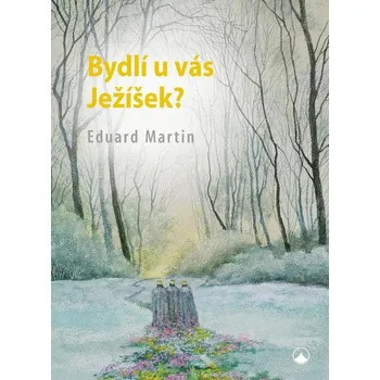 Kniha Bydlí u Vás Ježíšek?