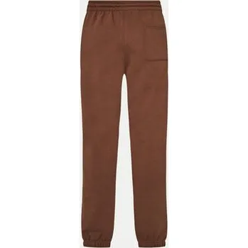 Reebok Teplákové kalhoty Cl Ae Pant 100202799 Hnědá Regular Fit S