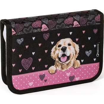 Penál Dvouchlopňový penál Bagmaster ALFA 21 A