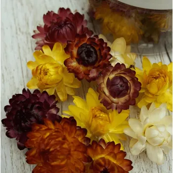 Jedlá dekorace na dort Sugar and Cakes ROSIE ROSE - SUŠENÉ SLAMĚNÉ KVĚTY MIX 15ks