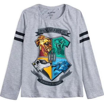 Dívčí tričko HARRY POTTER BRADAVICE šedé Velikost: 158