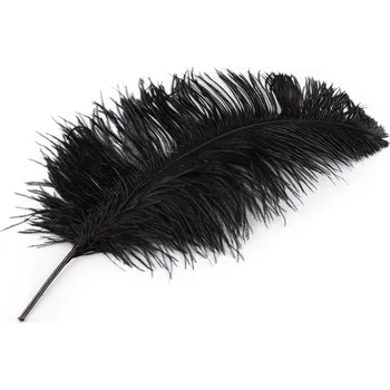 Pštrosí peří délka 50-55 cm, barva 4 černá