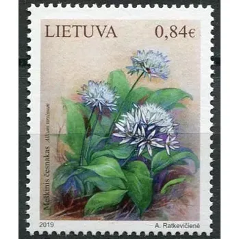 Poštovní známka (2019) MiNr. 1312 ** - Litva - medvědí česnek