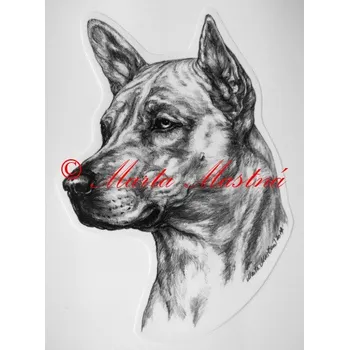 Samolepka thajský ridgeback c427 - Malá - přibližně jako pohlednice