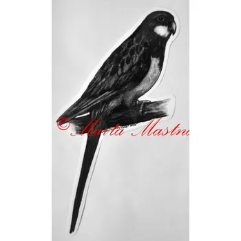 Samolepka rosela, papoušek - archiv c467 - Malá - přibližně jako pohlednice