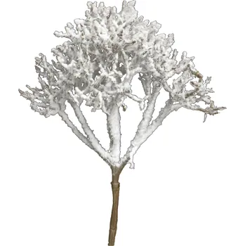 umělá květina umělá větev, Coral pick natural snowed V29cm