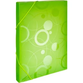Archivační box Box s gumou NEO COLORI zelený