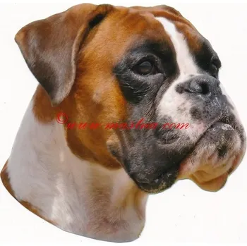 Samolepka boxer německý - archiv 88