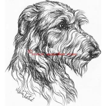 Samolepka deerhound, skotský jelení pes, chrt - archiv c581 - Malá - přibližně jako pohlednice