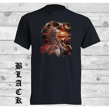 detske-levne-bavlnene-tricko-digitalni-potisk-orel-hory Barva: Black -černá, velikost: 140