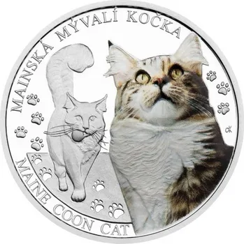 2024 - Stříbrná mince Mainská mývalí kočka - Plemena koček