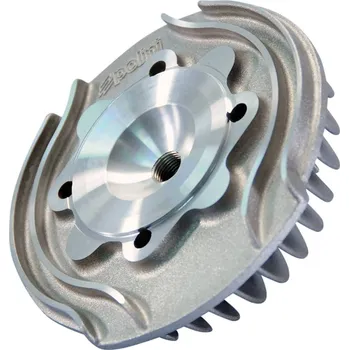 Válec motoru Hlava válce Polini Evolution, Vespa Primavera 125 2T, Primavera 125 ET3 2T 211.0321