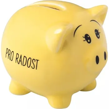 Pokladnička Pokladnička prasátko - Pro radost
