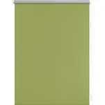 Lichtblick Termo zatemňovací roleta, od 45 x 150 cm (zelená, 70 x 220 cm)