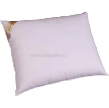 Polštář Péřový polštář Regina 50/50 50x50(500g)