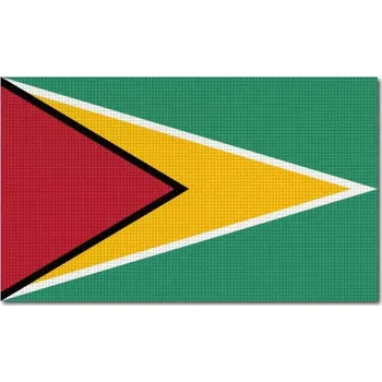 Vlajka Pelisport Guyanská vlajka tištěná 6 x 3,5 cm