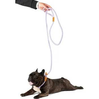 Vodítko pro psa Lanové stahovací vodítko Barva: Růžová, Délka: 2,1M