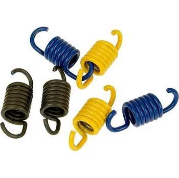 Motor pro motocykl Polini Spojkové pružinky 3 x 2ks (105mm spojka) P.13382