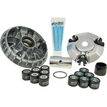 Motor pro motocykl Polini Variátor Maxi Hi-Speed Honda 125 P.23697