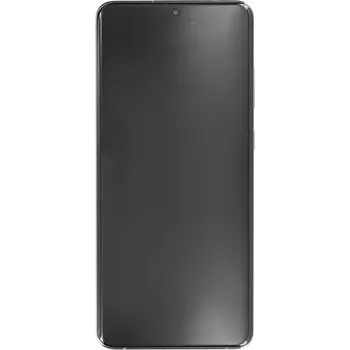 Samsung Sklo a LCD displej pro Samsung Galaxy S20 Ultra / S20 Ultra 5G / SM-G988, originál, šedá