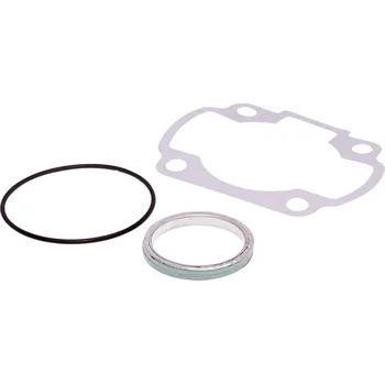 Těsnění pro motocykl Polini Sada těsnění Polini AC 209.0468