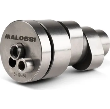 Motodíl Malossi Vačková hřídel Power cam 5919264