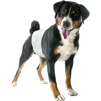 kalhotky pro psa PLENY PRO PSY CAMON 12 ks M