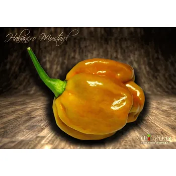Semeno chilli-semena Habanero Mustard