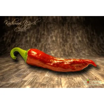 Semeno chilli-semena Kashmiri Mirch Chilli