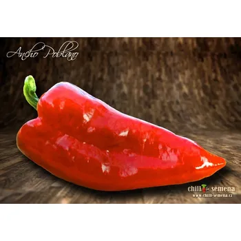 Semeno chilli-semena Ancho Poblano
