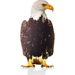 Plašič ptáků a škůdců - 2D maketa Orla bělohlavého, 28 x 55 cm OREL sedící, silueta dravce - jednostranný potisk, 3 mm pěněné PVC + UV potisk, Kód: 27621