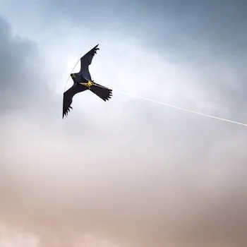 Odpuzovač zvířat Triwi Dravec maketa - komplet