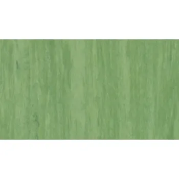vinylová podlaha Tarkett - Francie STANDARD PLUS (2.0 mm) - Standard DARK GREEN 0921