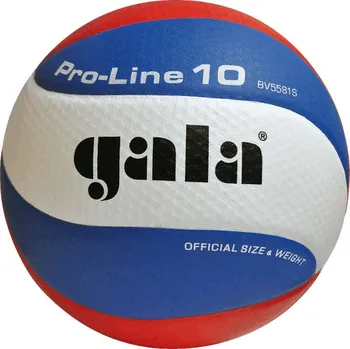 Volejbalový míč 6 KUSŮ - GALA Volejbalový míč Pro Line 12 - BV 5585 S