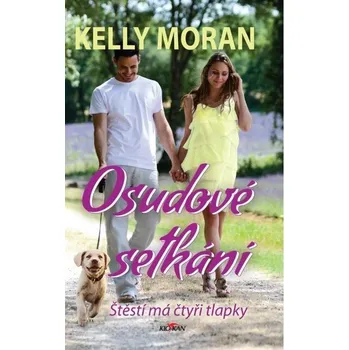 Osudové setkání - Kelly Moran (2020, pevná)