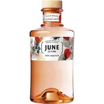 G'Vine June Gin Liqueur 30% 0,7 l