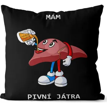 Dekorativní polštářek Polštář Pivní játra (Velikost: 40 x 40 cm)